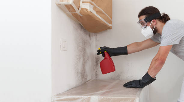 Professional Attic Mold Remediation technician working in Tomball, TX