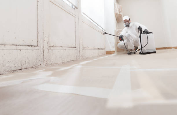 24/7 Emergency Attic Mold Remediation experts in Tomball, TX